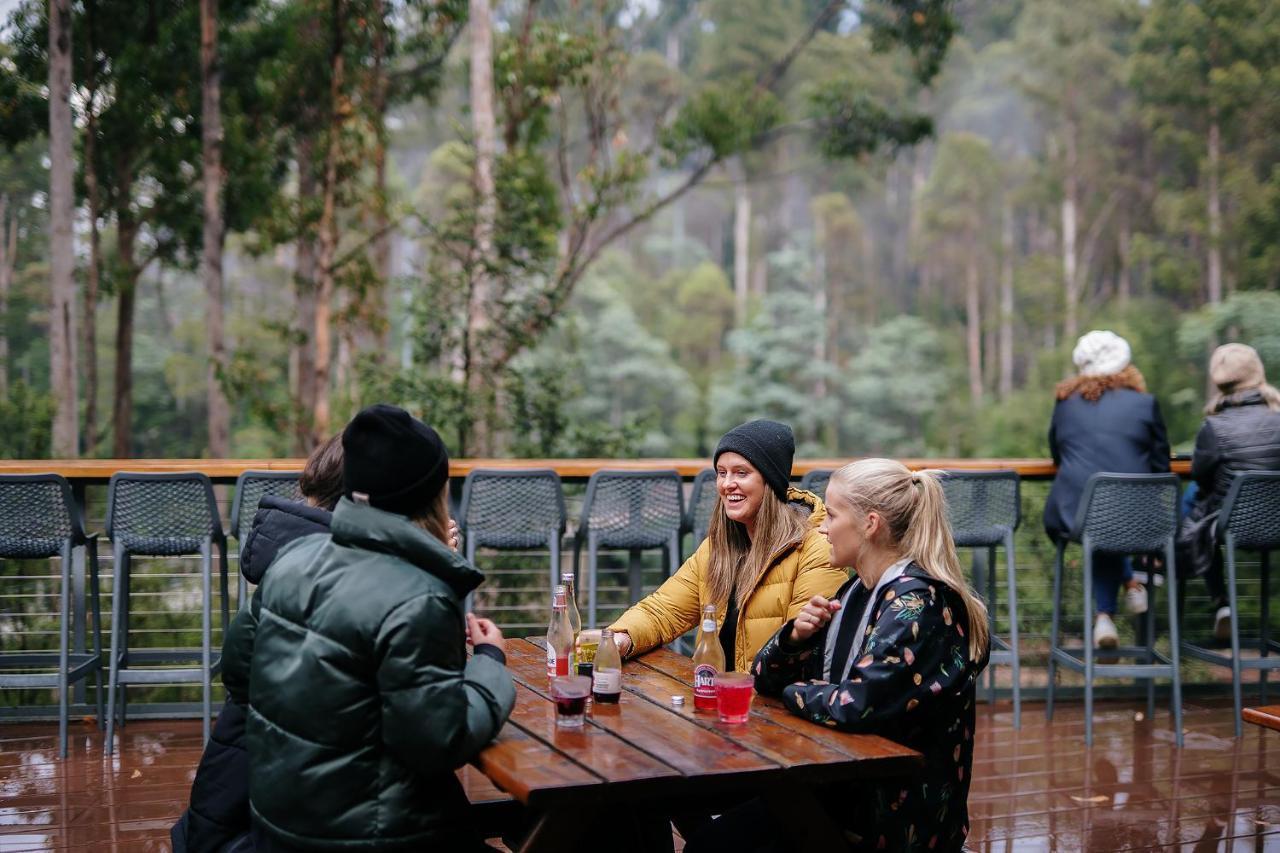 Tahune Airwalk Cabin And Lodge Geeveston Exterior photo