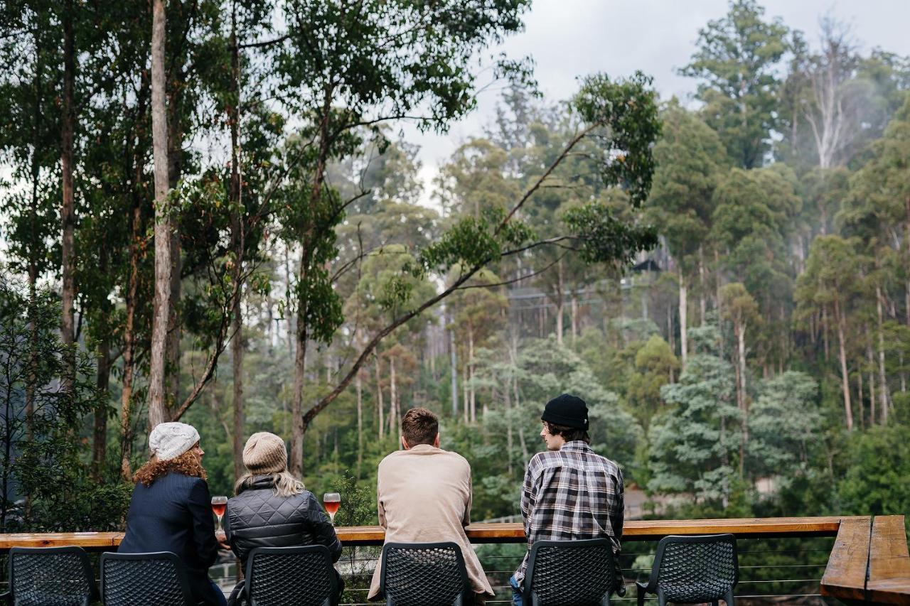 Tahune Airwalk Cabin And Lodge Geeveston Exterior photo