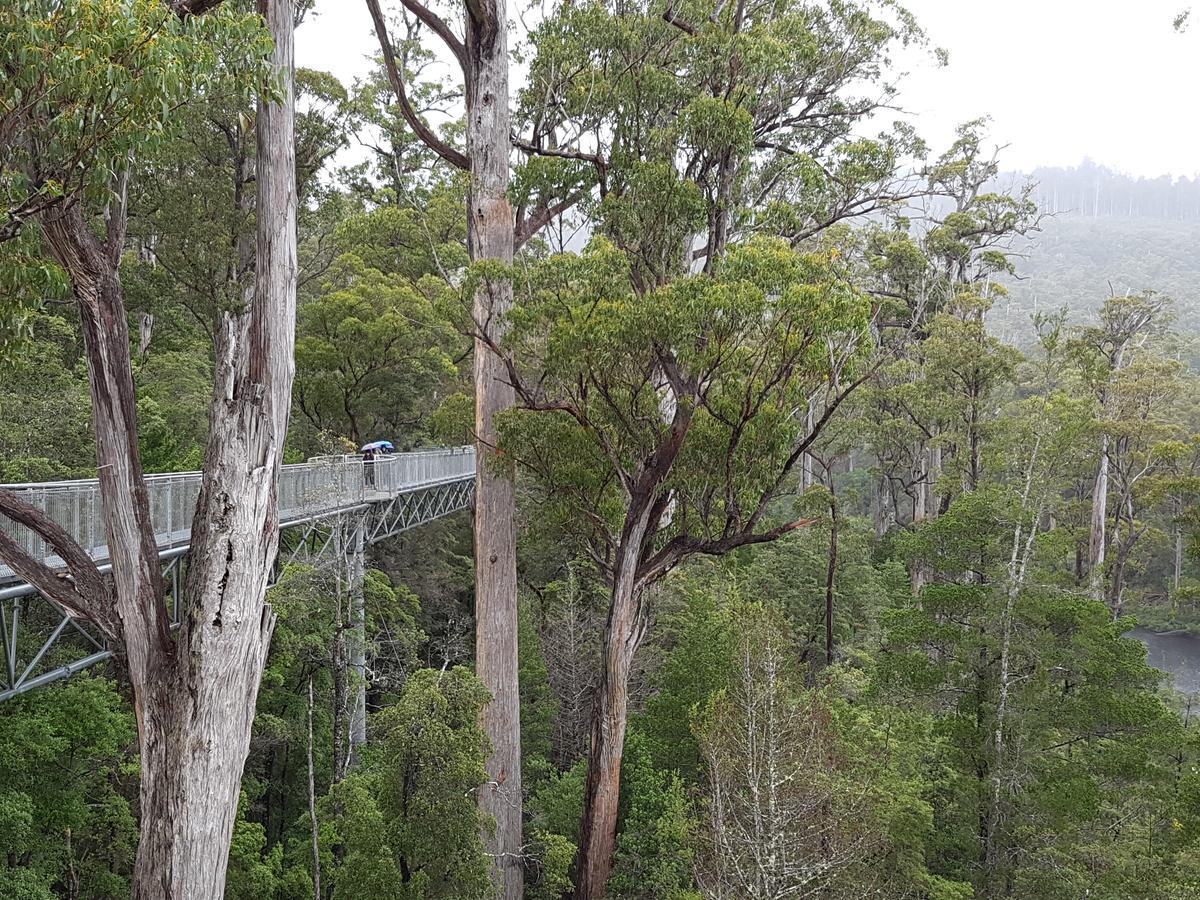 Tahune Airwalk Cabin And Lodge Geeveston Exterior photo