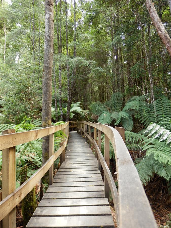 Tahune Airwalk Cabin And Lodge Geeveston Exterior photo