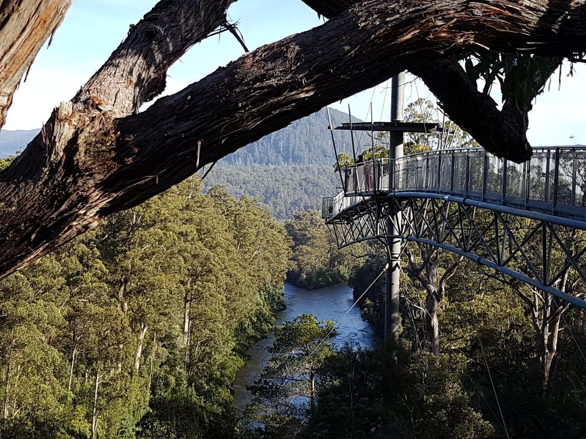 Tahune Airwalk Cabin And Lodge Geeveston Exterior photo